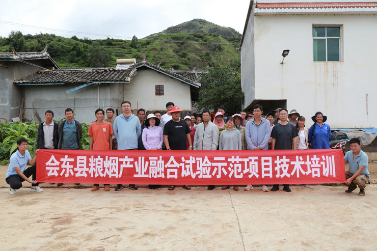 粮烟融合标准化种植技术培训会在会东嘎吉召开(图文)